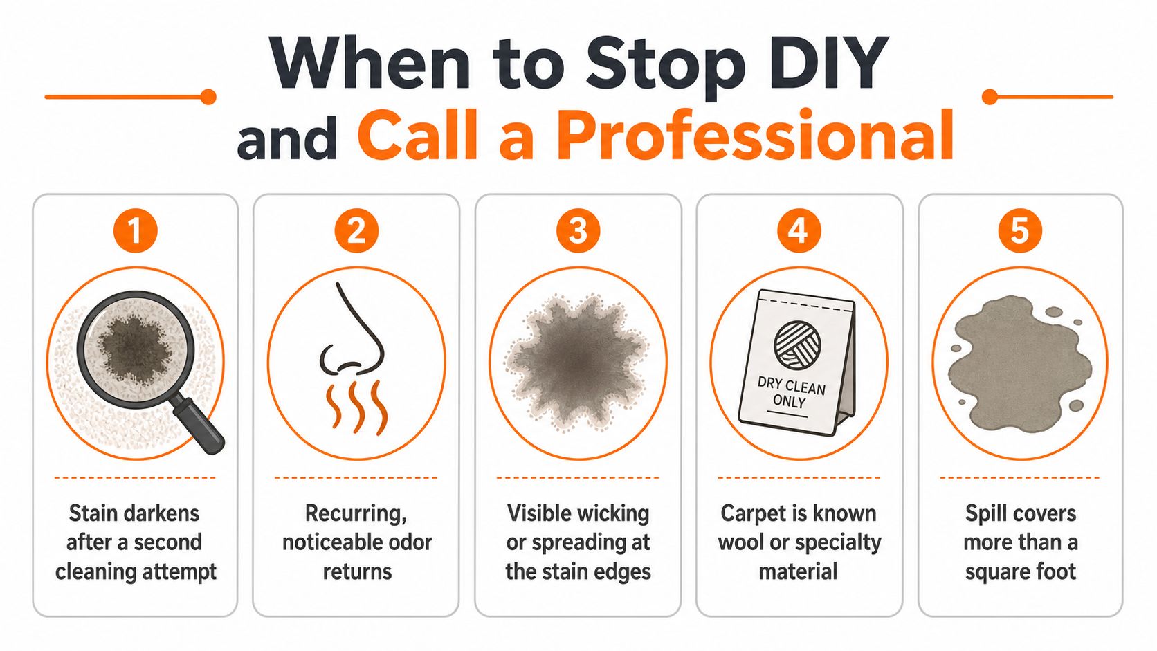 An infographic detailing five signs when you should stop DIY cleaning and call a carpet professional.