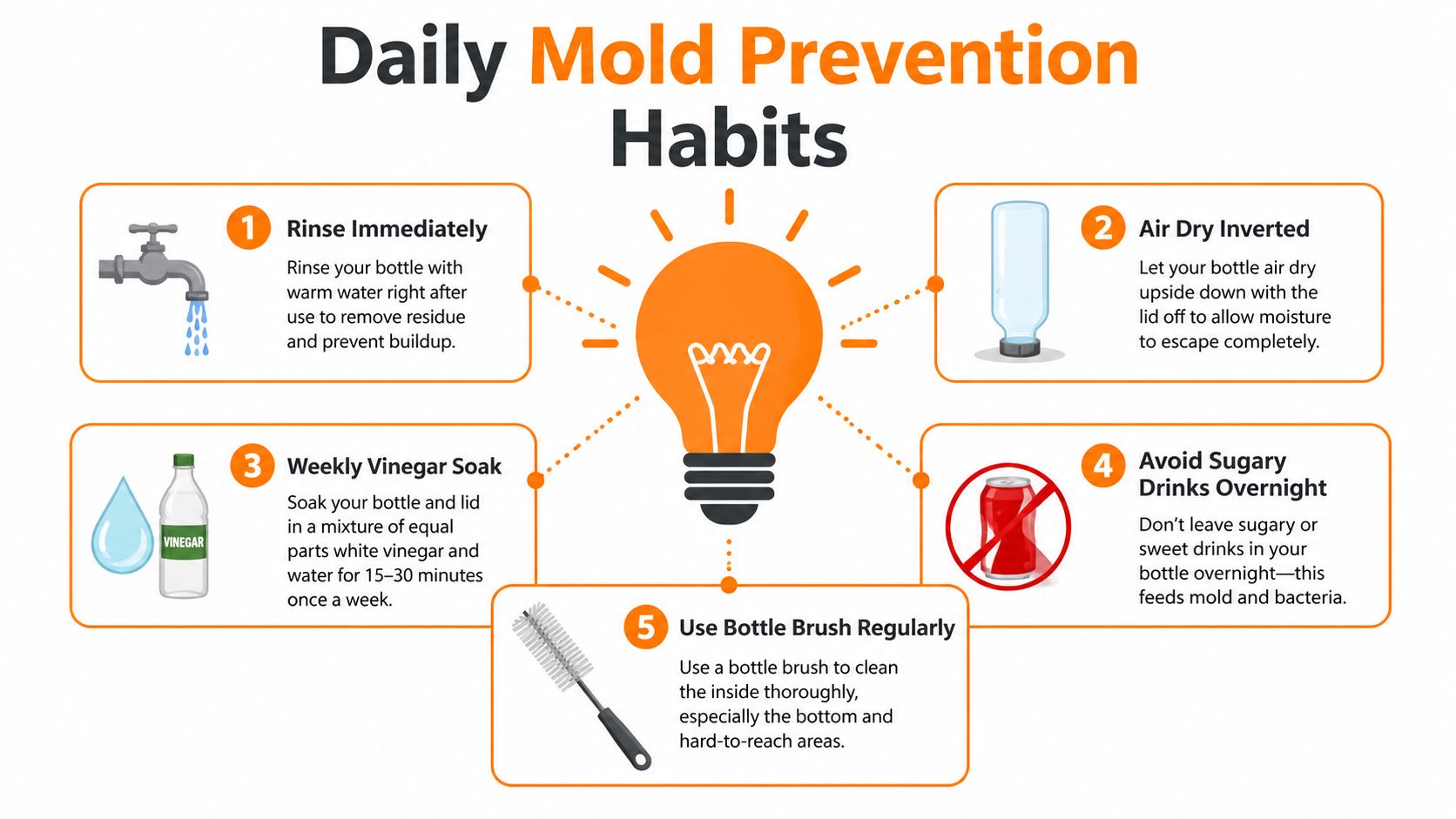 An infographic titled Daily Mold Prevention Habits illustrating five essential tips for keeping reusable bottles mold-free.