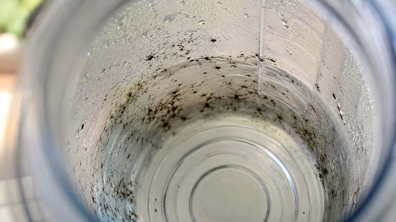 Close up view inside a clear plastic water bottle showing black mold spots on the inner walls.