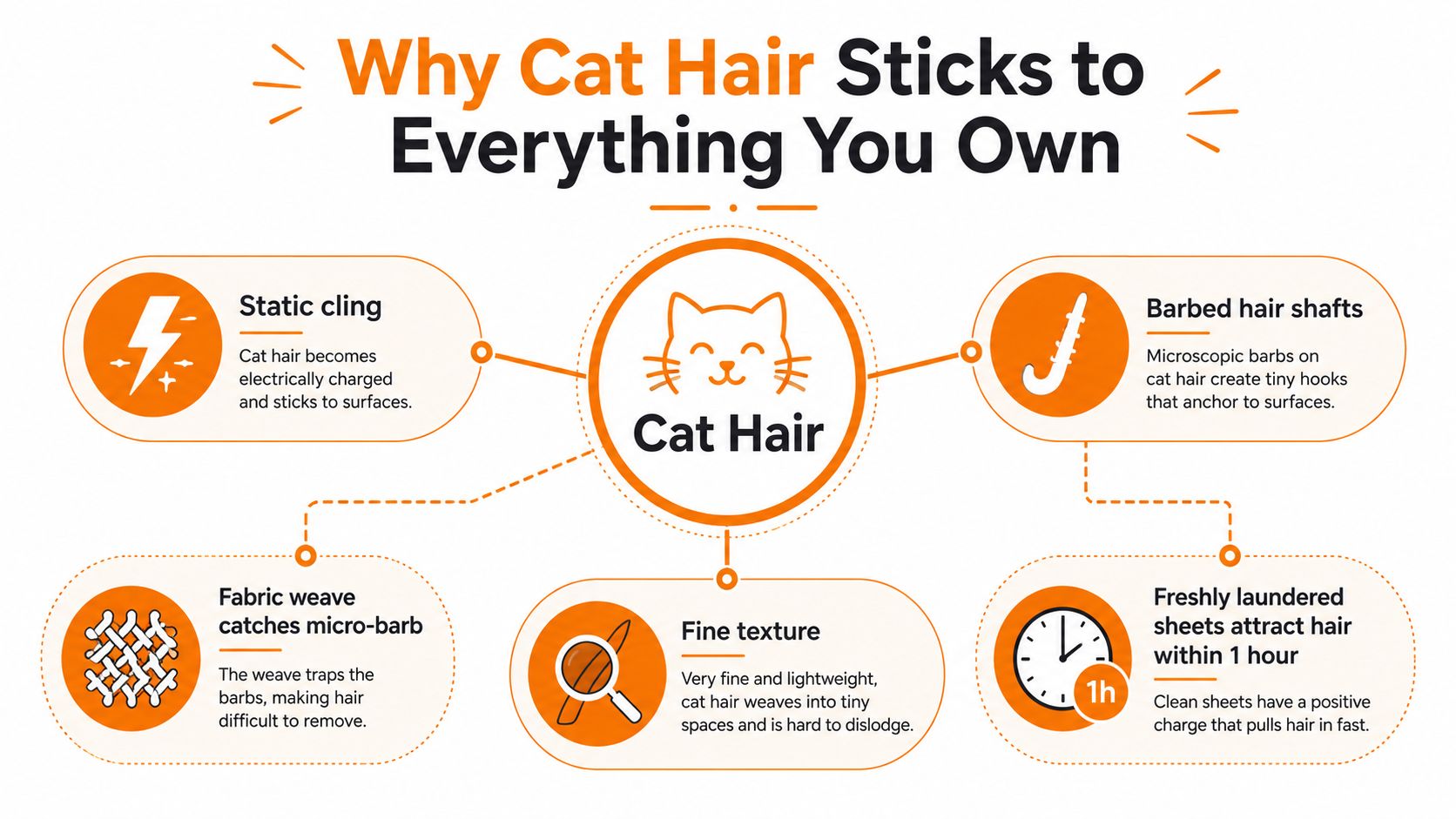 An infographic titled Why Cat Hair Sticks to Everything You Own illustrating causes like static and barbs.