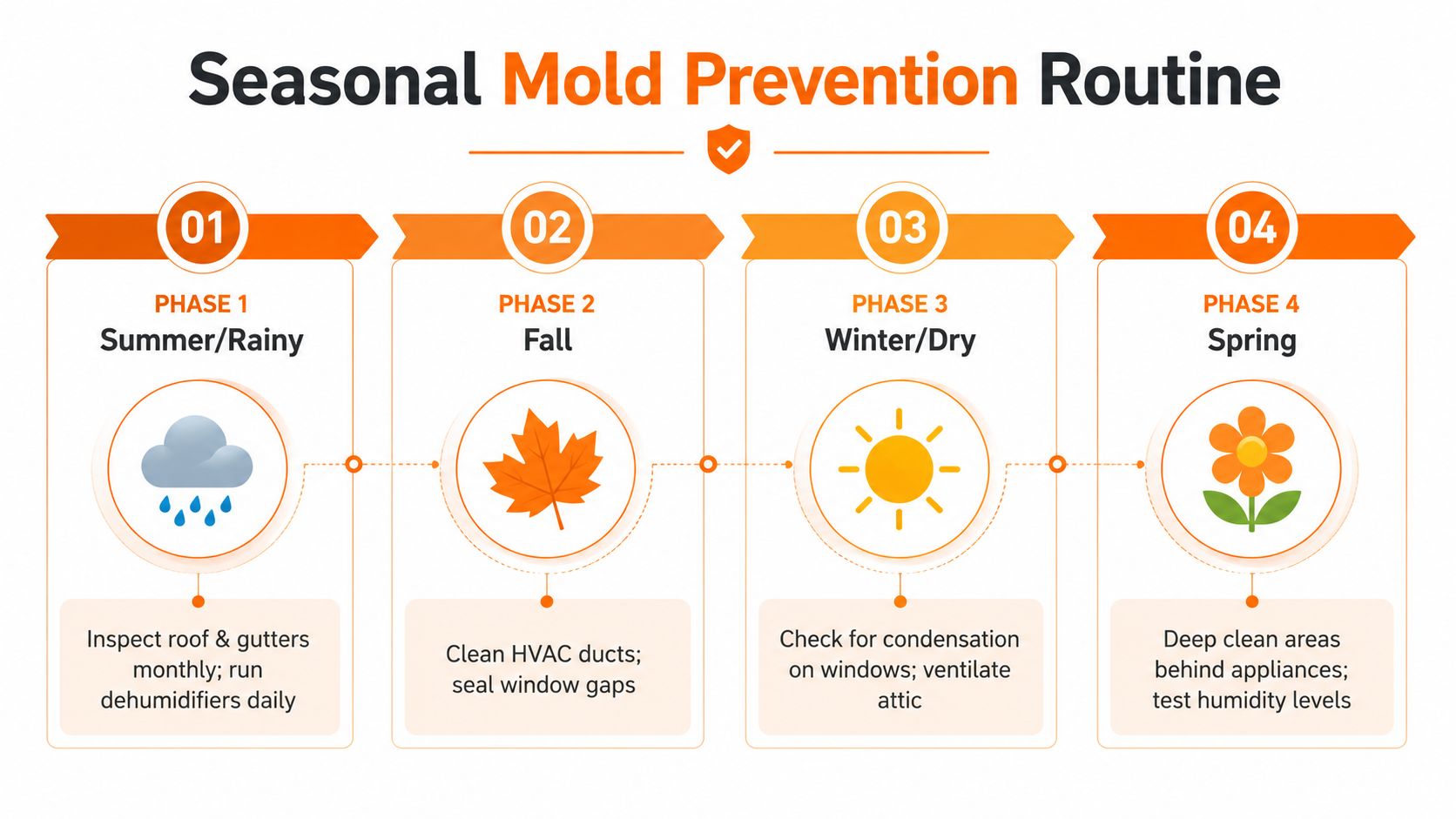 An infographic detailing a seasonal mold prevention routine broken down into four phases for year-round home maintenance.