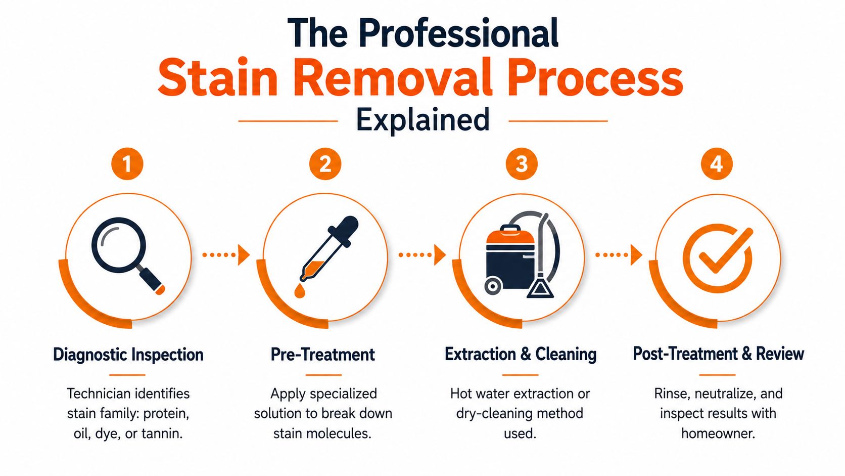A four-step infographic illustrating the professional stain removal process from diagnostic inspection to final review.
